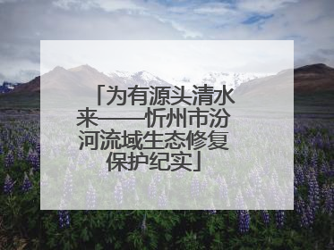 为有源头清水来——忻州市汾河流域生态修复保护纪实