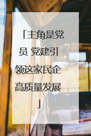 主角是党员 党建引领这家民企高质量发展