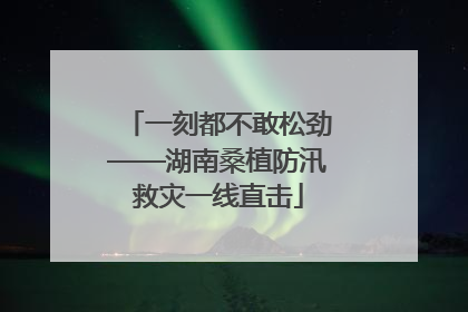 一刻都不敢松劲——湖南桑植防汛救灾一线直击
