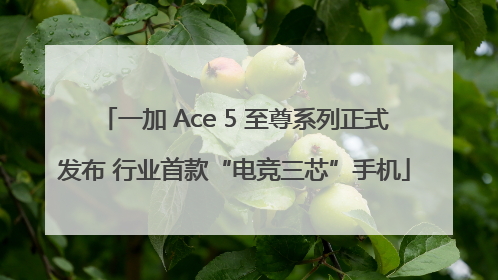 一加 Ace 5 至尊系列正式发布 行业首款“电竞三芯”手机