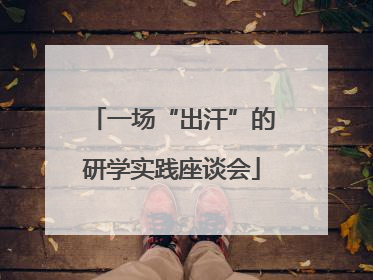 一场“出汗”的研学实践座谈会