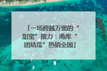 一场跨越万里的“甜蜜”接力：甬库“团结瓜”热销全国