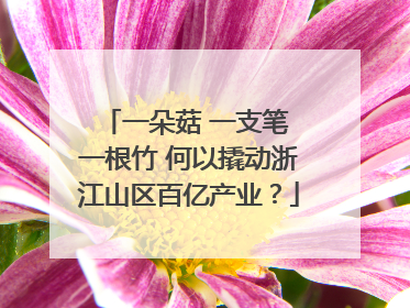 一朵菇 一支笔 一根竹 何以撬动浙江山区百亿产业？