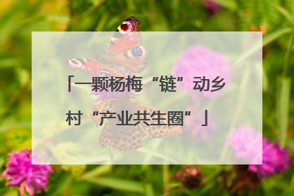 一颗杨梅“链”动乡村“产业共生圈”