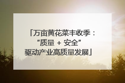 万亩黄花菜丰收季：“质量 + 安全” 驱动产业高质量发展