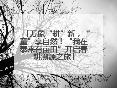 万象“耕”新，“童”享自然！“我在泰来有亩田”开启春耕溯源之旅