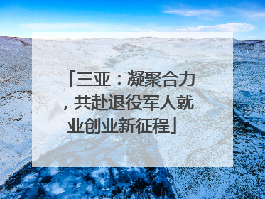 三亚：凝聚合力，共赴退役军人就业创业新征程