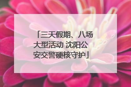 三天假期、八场大型活动 沈阳公安交警硬核守护