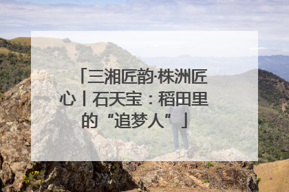 三湘匠韵·株洲匠心丨石天宝：稻田里的“追梦人”