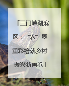 三门峡湖滨区：“农”墨重彩绘就乡村振兴新画卷