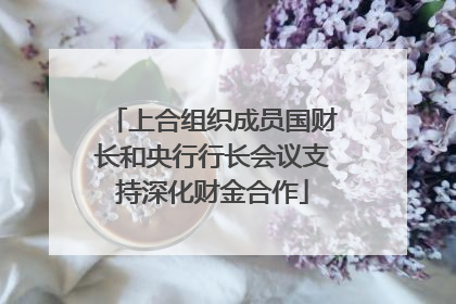 上合组织成员国财长和央行行长会议支持深化财金合作