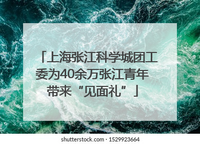 上海张江科学城团工委为40余万张江青年带来“见面礼”