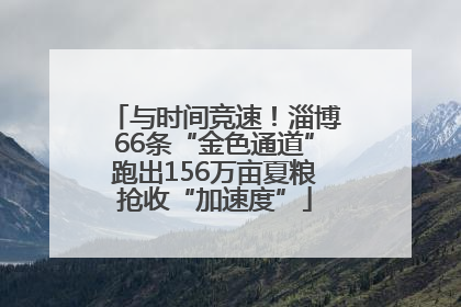 与时间竞速！淄博66条“金色通道”跑出156万亩夏粮抢收“加速度”