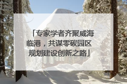 专家学者齐聚威海临港，共谋零碳园区规划建设创新之路