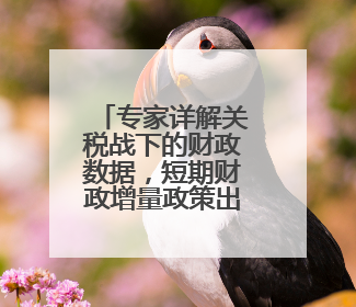 专家详解关税战下的财政数据，短期财政增量政策出台可能性小