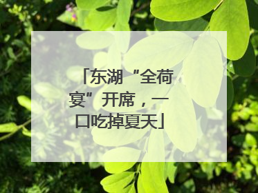 东湖“全荷宴”开席，一口吃掉夏天