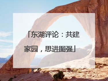 东湖评论：共建家园，思进图强