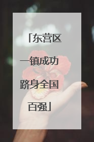 东营区一镇成功跻身全国百强