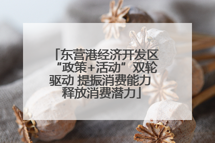 东营港经济开发区“政策+活动”双轮驱动 提振消费能力 释放消费潜力