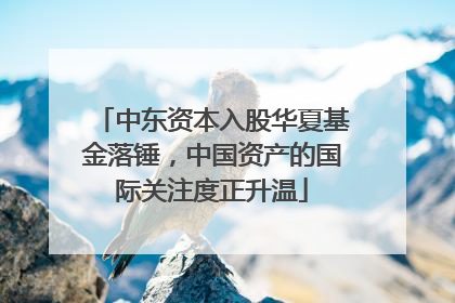 中东资本入股华夏基金落锤，中国资产的国际关注度正升温
