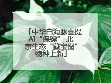 中华白海豚喜提AI“保镖” 北京生态“藏宝图”物种上新