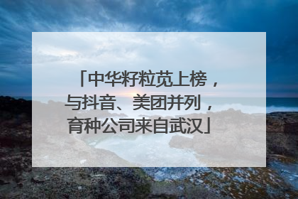 中华籽粒苋上榜，与抖音、美团并列，育种公司来自武汉