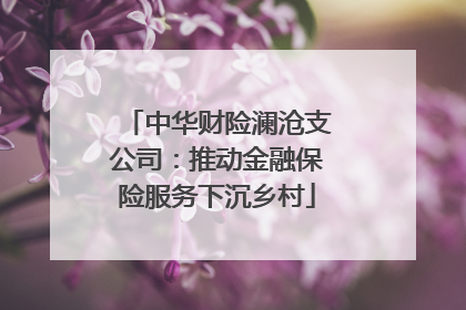 中华财险澜沧支公司：推动金融保险服务下沉乡村