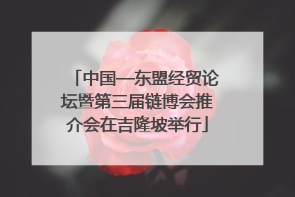 中国—东盟经贸论坛暨第三届链博会推介会在吉隆坡举行