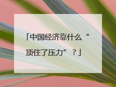 中国经济靠什么“顶住了压力”？