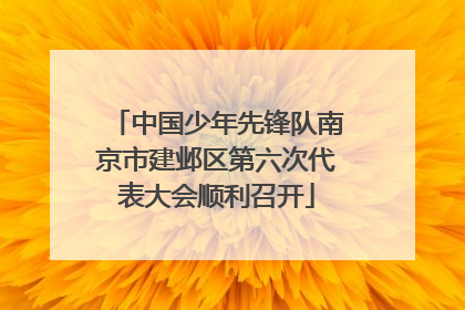 中国少年先锋队南京市建邺区第六次代表大会顺利召开