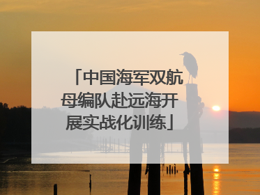 中国海军双航母编队赴远海开展实战化训练