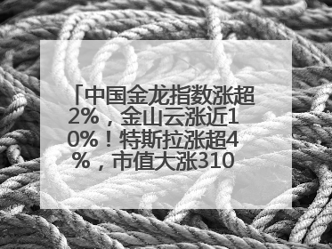中国金龙指数涨超2%，金山云涨近10%！特斯拉涨超4%，市值大涨3100亿元！比特币涨回11万美元关口