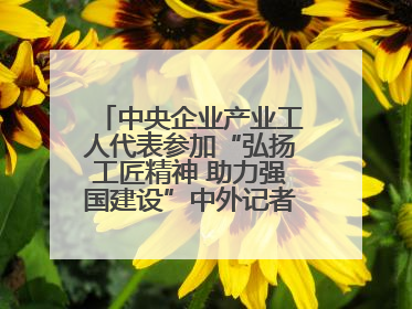 中央企业产业工人代表参加“弘扬工匠精神 助力强国建设”中外记者见面会实录
