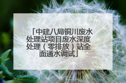 中建八局铜川废水处理站项目废水深度处理（零排放）站全面通水调试