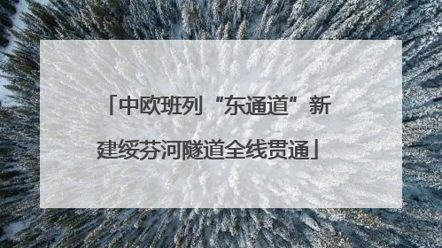 中欧班列“东通道”新建绥芬河隧道全线贯通