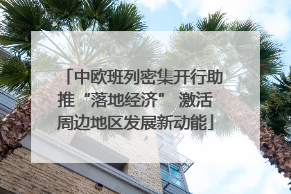 中欧班列密集开行助推“落地经济” 激活周边地区发展新动能