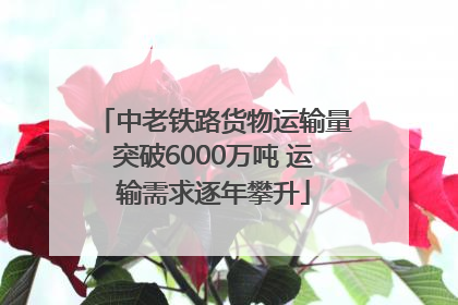 中老铁路货物运输量突破6000万吨 运输需求逐年攀升