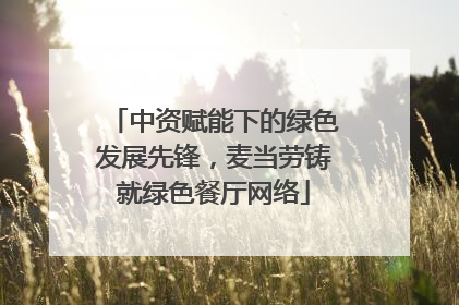 中资赋能下的绿色发展先锋，麦当劳铸就绿色餐厅网络