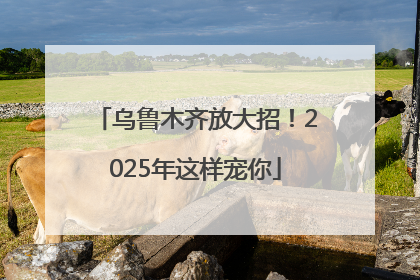 乌鲁木齐放大招！2025年这样宠你
