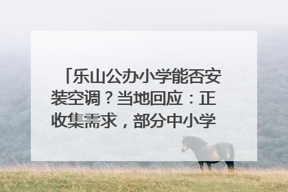 乐山公办小学能否安装空调？当地回应：正收集需求，部分中小学已启动安装｜云求助