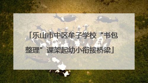 乐山市中区牟子学校“书包整理”课架起幼小衔接桥梁