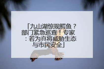 九山湖惊现鳄鱼？部门紧急巡查！专家：若为真将威胁生态与市民安全