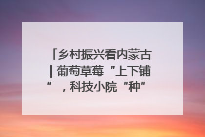 乡村振兴看内蒙古｜葡萄草莓“上下铺”，科技小院“种”出三倍效益