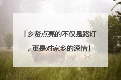 乡贤点亮的不仅是路灯，更是对家乡的深情
