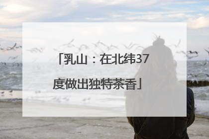 乳山：在北纬37度做出独特茶香