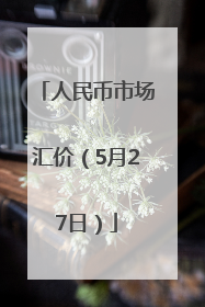人民币市场汇价（5月27日）