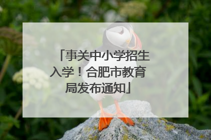 事关中小学招生入学！合肥市教育局发布通知