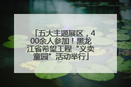 五大主题展区，400余人参加！黑龙江省希望工程“义卖童园”活动举行