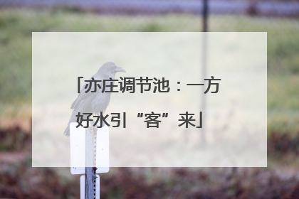 亦庄调节池：一方好水引“客”来
