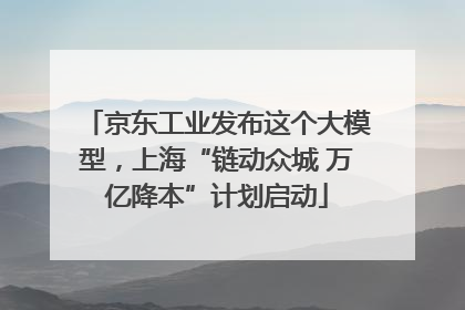 京东工业发布这个大模型，上海“链动众城 万亿降本”计划启动